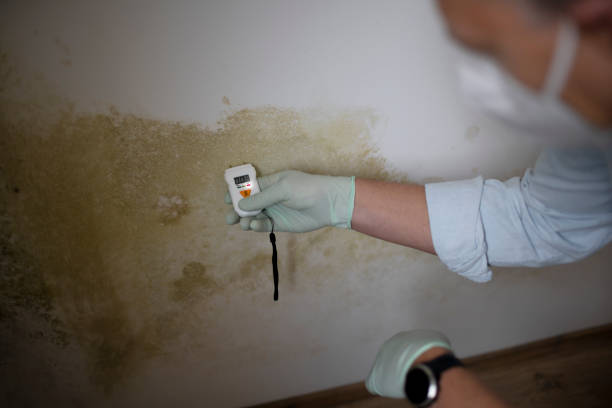 Best Mold Testing and Inspection Services in Centreville, AL