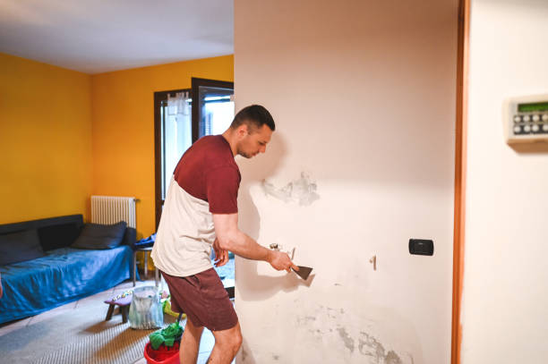 Best Emergency Mold Remediation in Centreville, AL